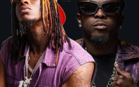 HIMRA, OU LE SUCCÈS D’UNE CAMPAGNE « ANTI-DIDI B »