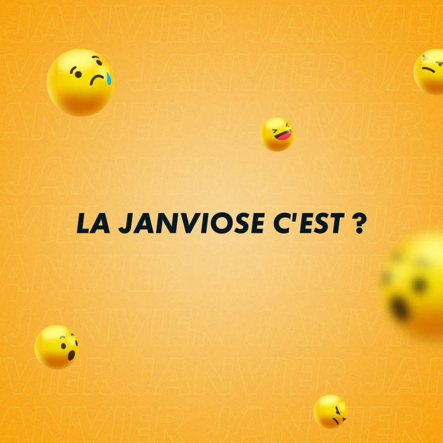 La janviose ou l'épidémie financière à éviter au mois de janvier!