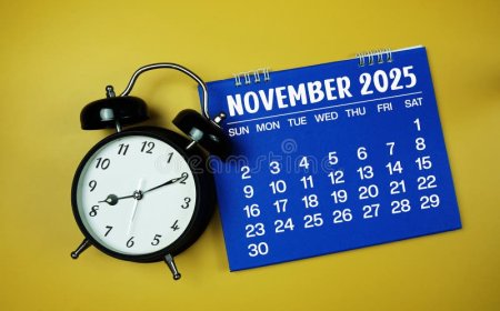 Novembre ou le mois des mémoires et des honneurs !