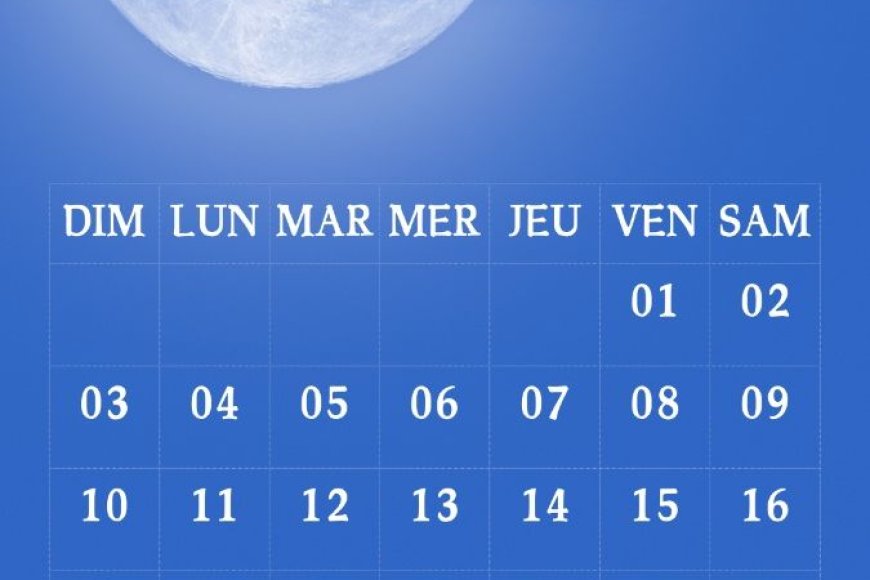 NOVEMBRE, MOIS DE LUTTE CONTRE LES CANCERS TOUCHANT LA GENTE MASCULINE !